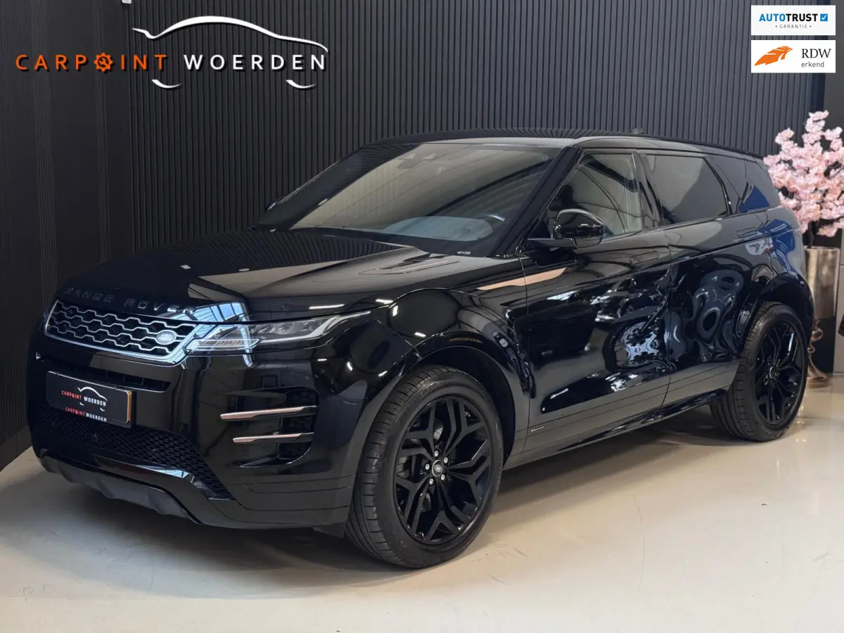 2.0 D150 AWD R-Dynamic SE | LEDER | CAMERA