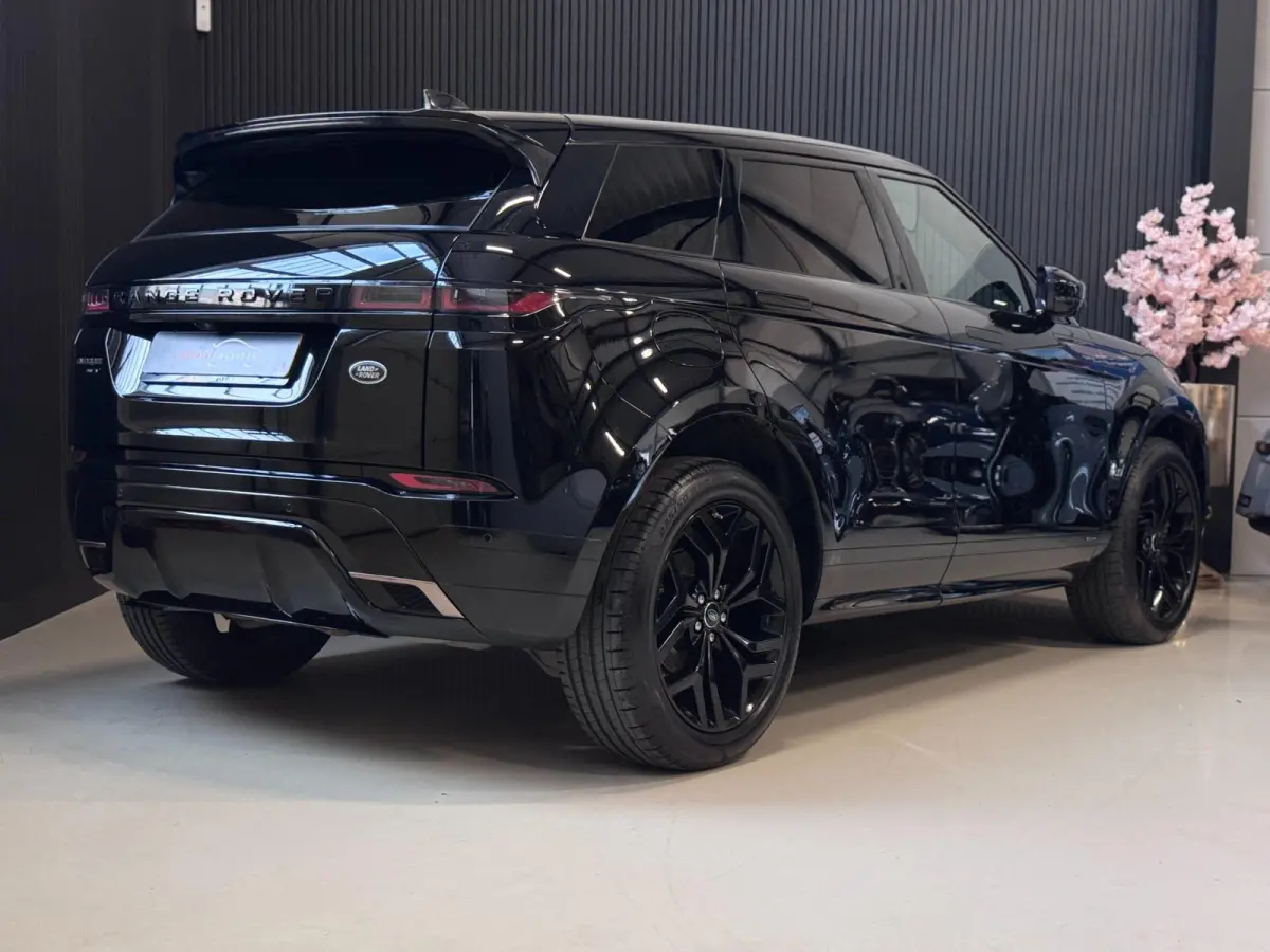 2.0 D150 AWD R-Dynamic SE | LEDER | CAMERA