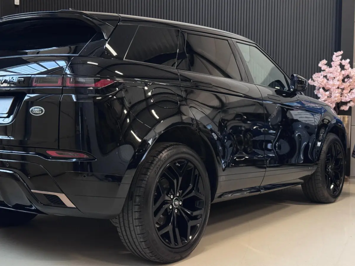 2.0 D150 AWD R-Dynamic SE | LEDER | CAMERA