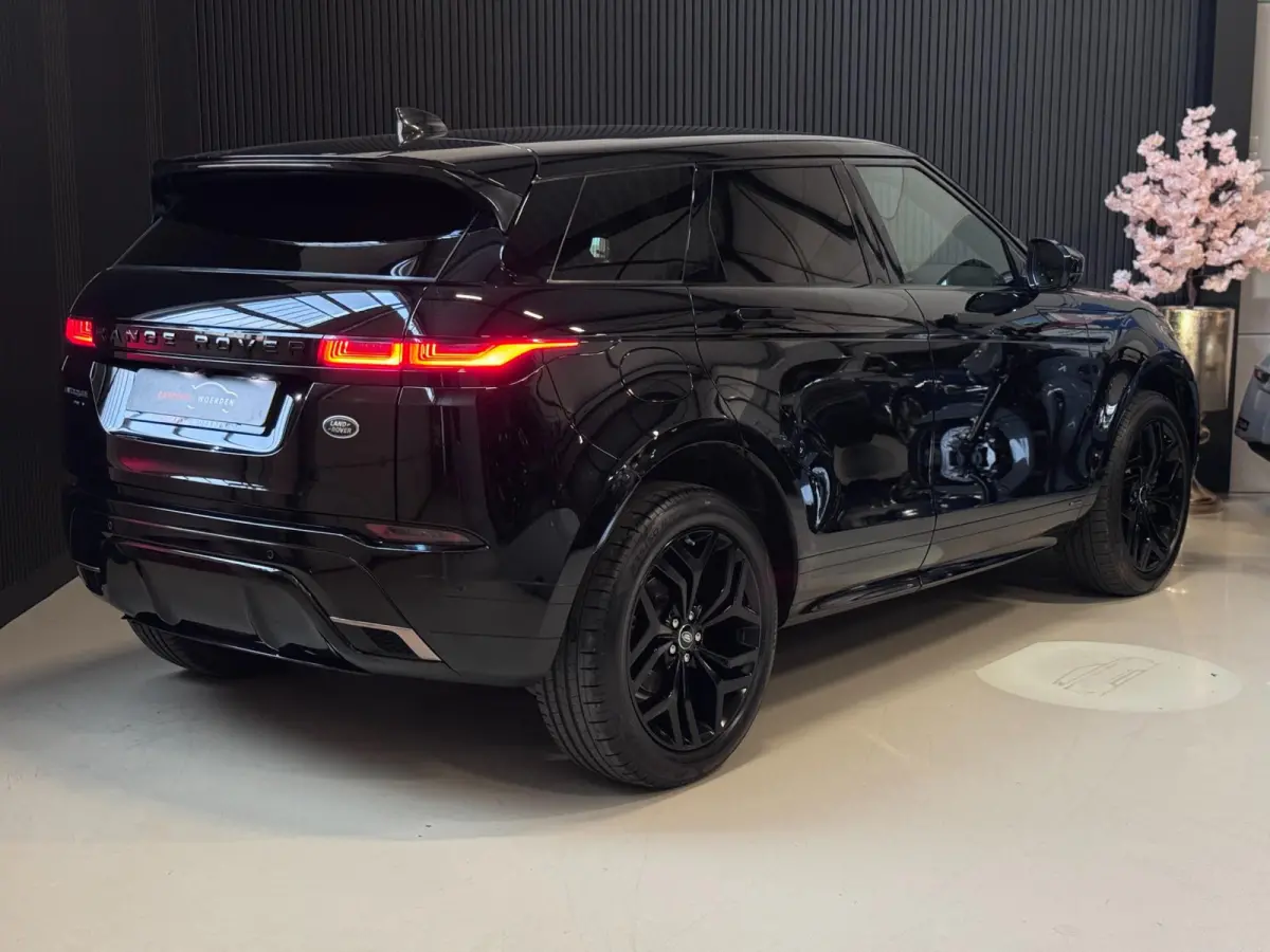 2.0 D150 AWD R-Dynamic SE | LEDER | CAMERA