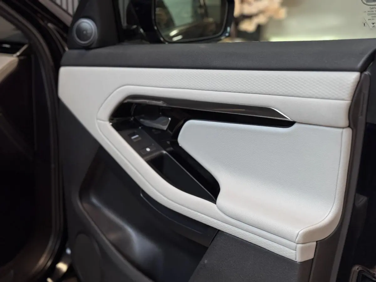 2.0 D150 AWD R-Dynamic SE | LEDER | CAMERA