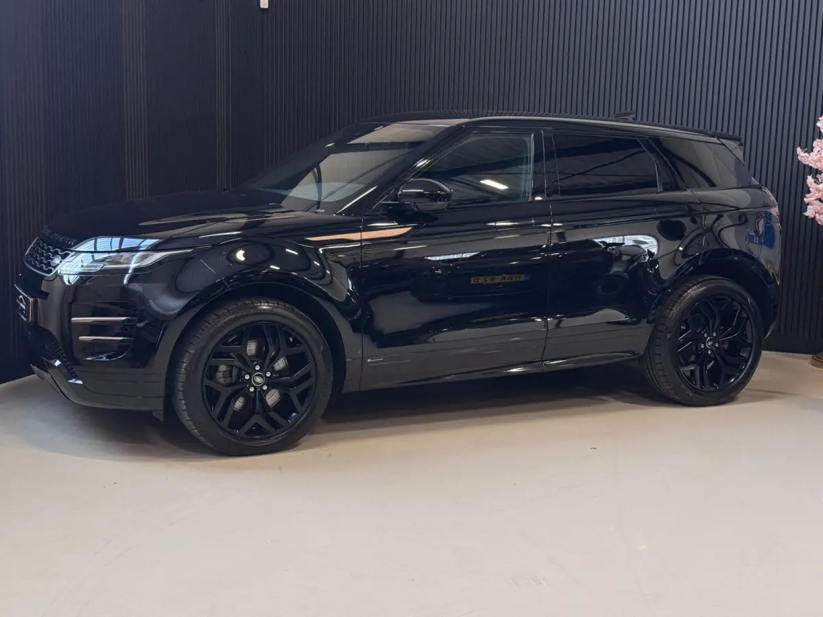 2.0 D150 AWD R-Dynamic SE | LEDER | CAMERA