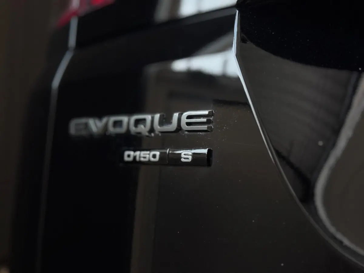 2.0 D150 AWD R-Dynamic SE | LEDER | CAMERA