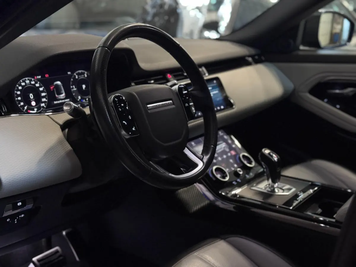 2.0 D150 AWD R-Dynamic SE | LEDER | CAMERA