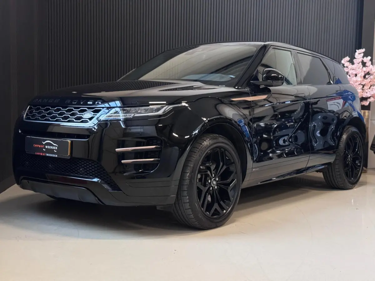 2.0 D150 AWD R-Dynamic SE | LEDER | CAMERA