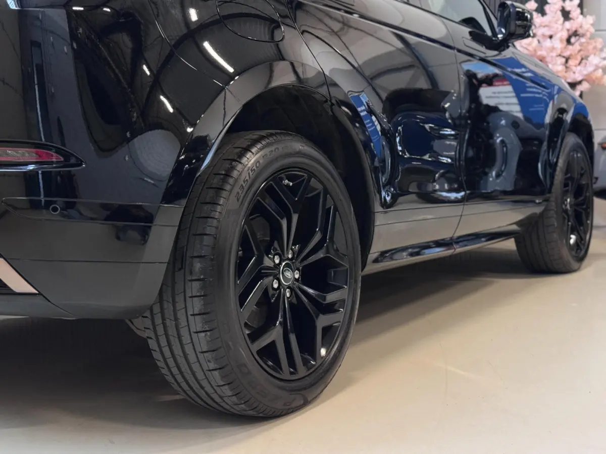 2.0 D150 AWD R-Dynamic SE | LEDER | CAMERA