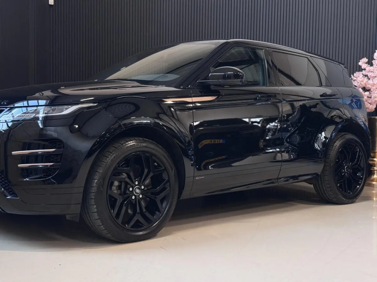 2.0 D150 AWD R-Dynamic SE | LEDER | CAMERA