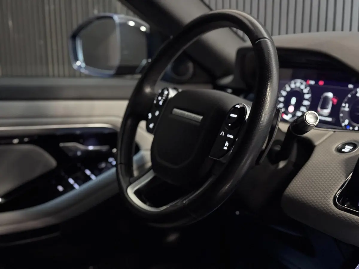 2.0 D150 AWD R-Dynamic SE | LEDER | CAMERA