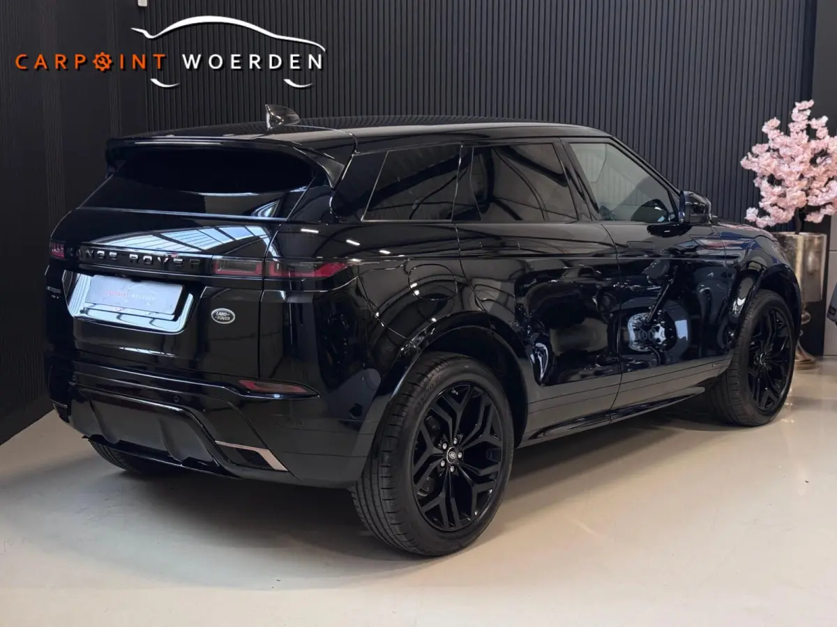 2.0 D150 AWD R-Dynamic SE | LEDER | CAMERA
