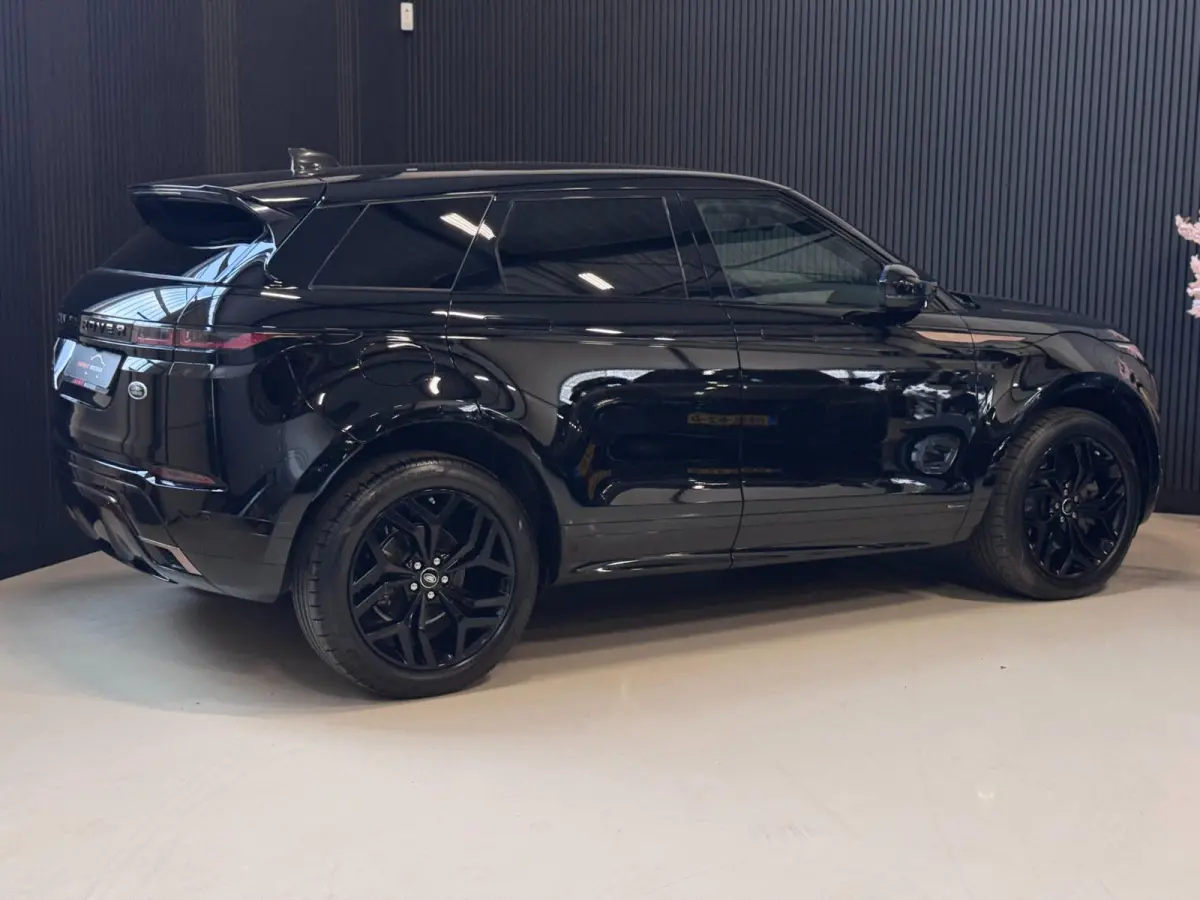2.0 D150 AWD R-Dynamic SE | LEDER | CAMERA