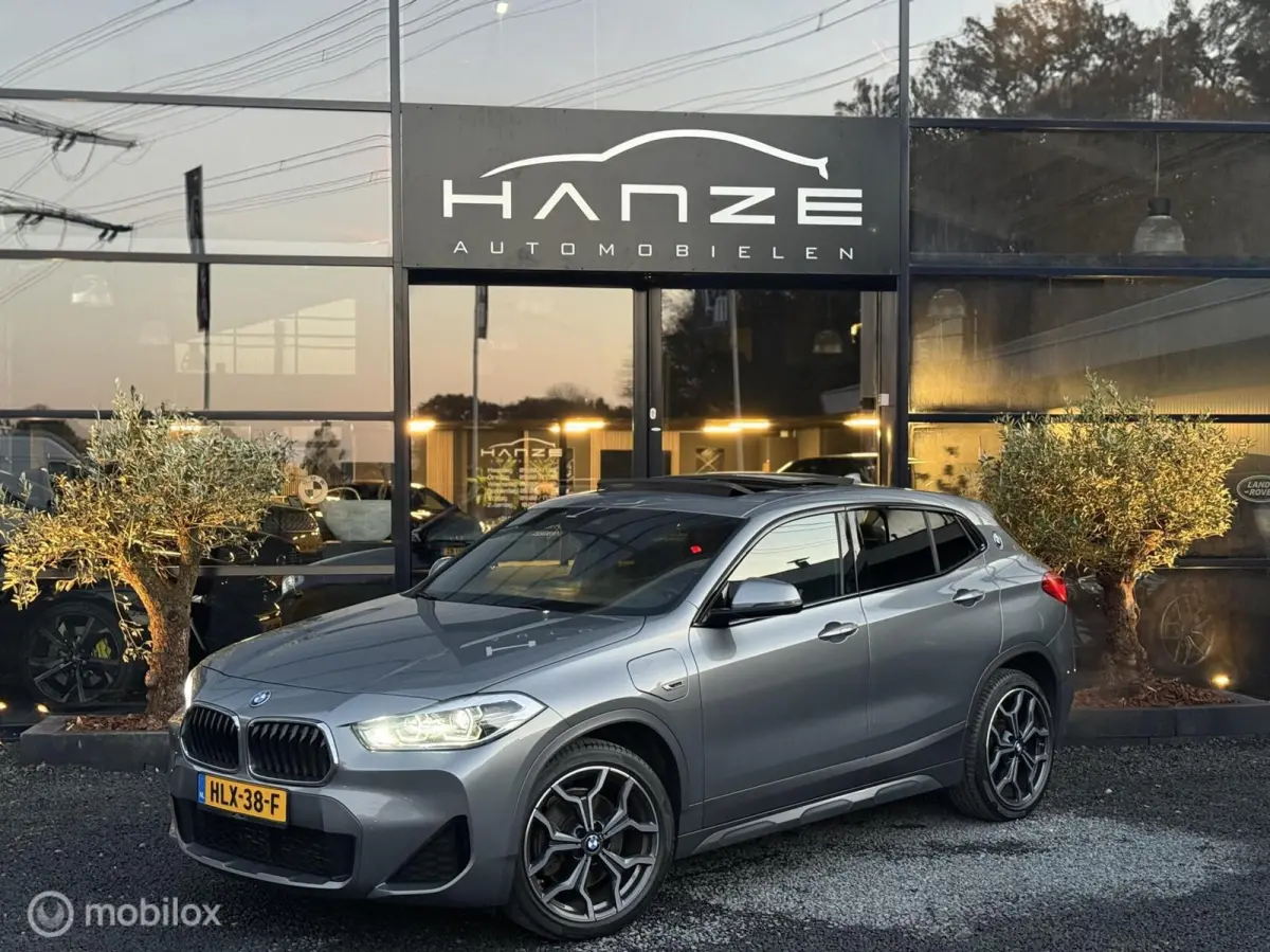 xDrive25e High Executive M|Pano|19"|LED|Virtual