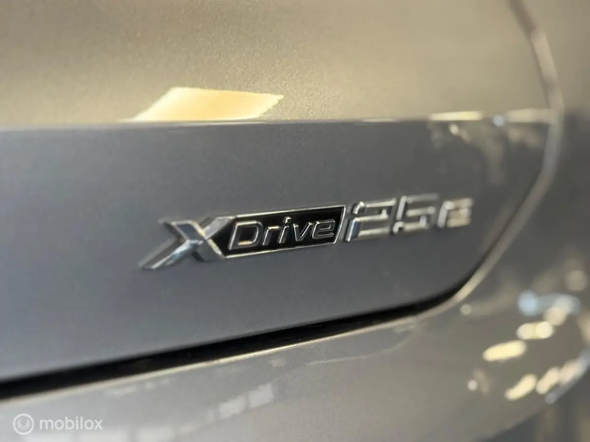 xDrive25e High Executive M|Pano|19"|LED|Virtual