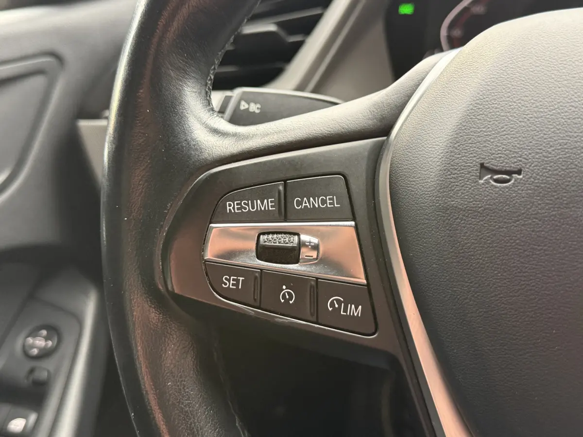 116i Business Edition | Zwarte grill | Apple Carplay | DAB+ | PDC V+A