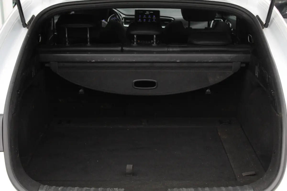 1.0 T-GDI GT-Line Panorama
