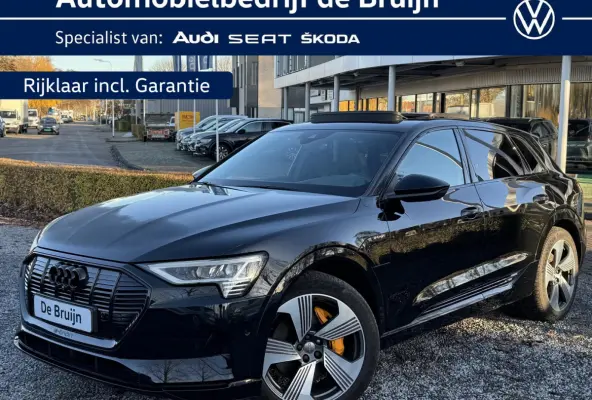 e-tron 55 Quattro Advance S-Line 95 kWh (Trekhaak,Pano,Headup,360)
