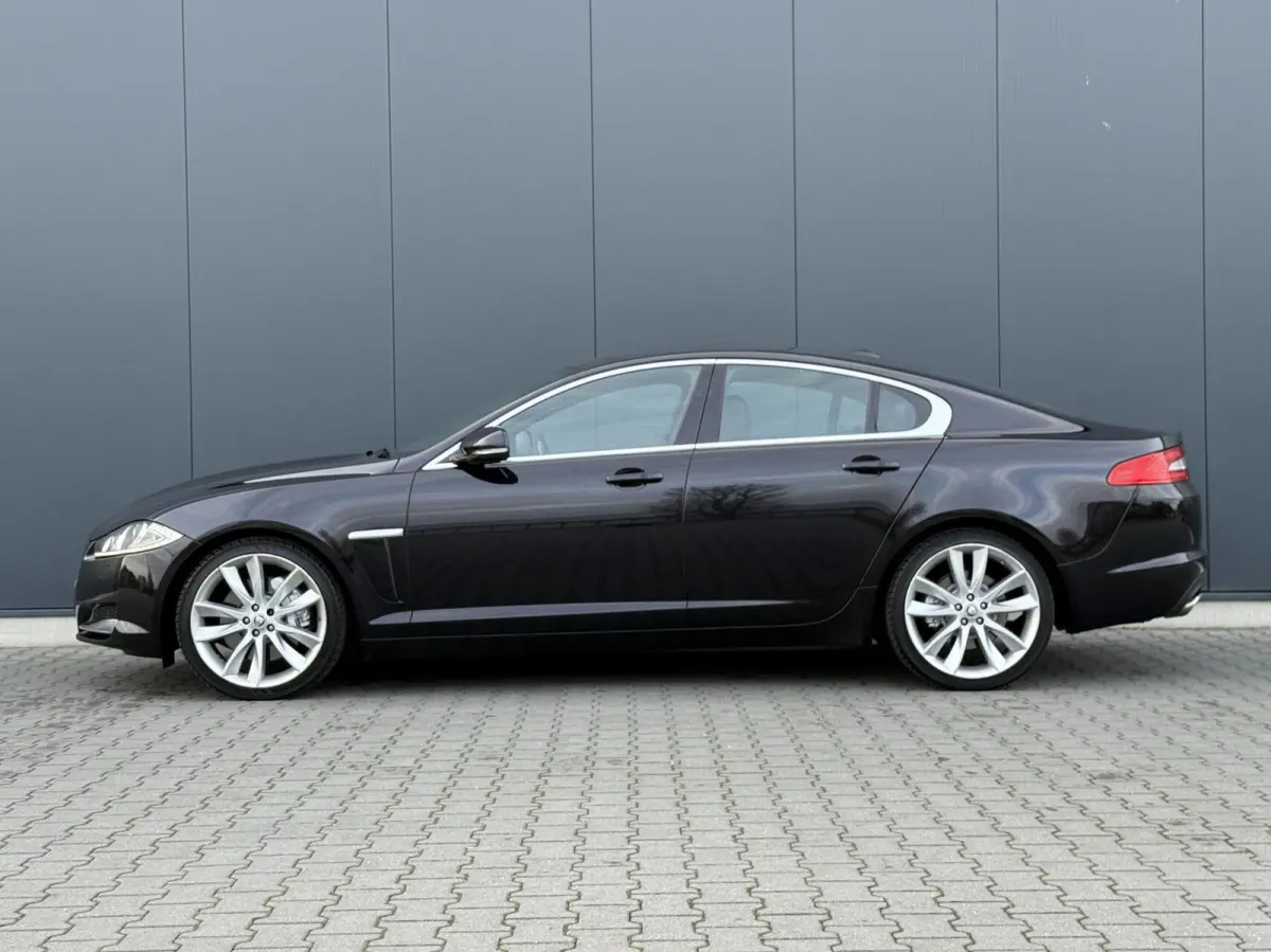 5.0 V8 385PK Portfolio Nieuw Model - Leder - Alcantara Hemel