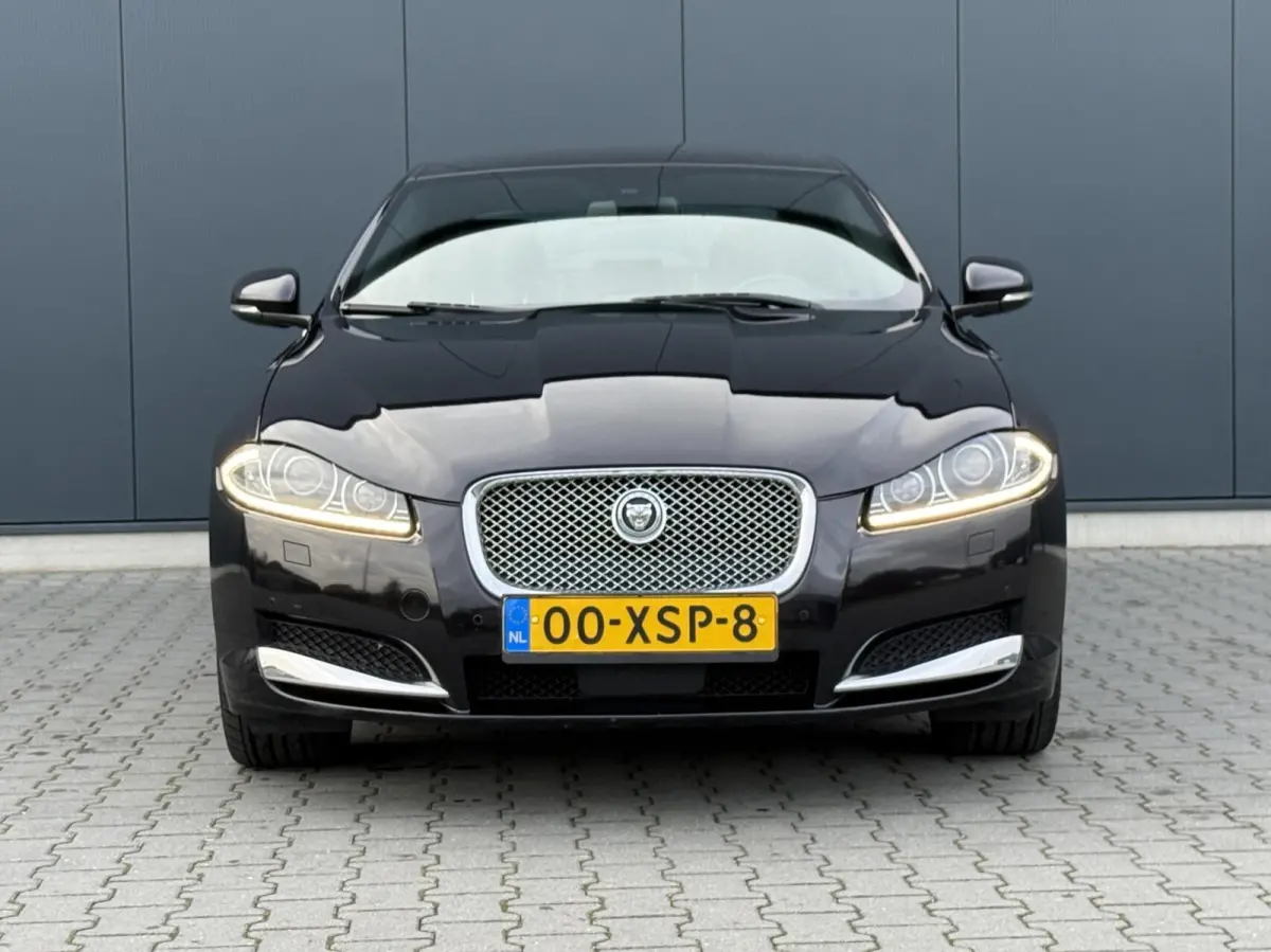 5.0 V8 385PK Portfolio Nieuw Model - Leder - Alcantara Hemel