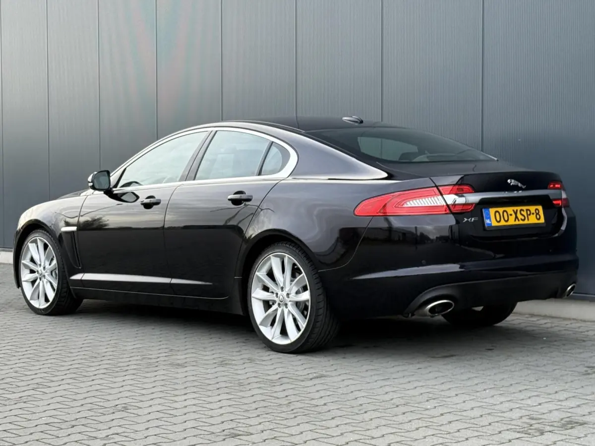 5.0 V8 385PK Portfolio Nieuw Model - Leder - Alcantara Hemel