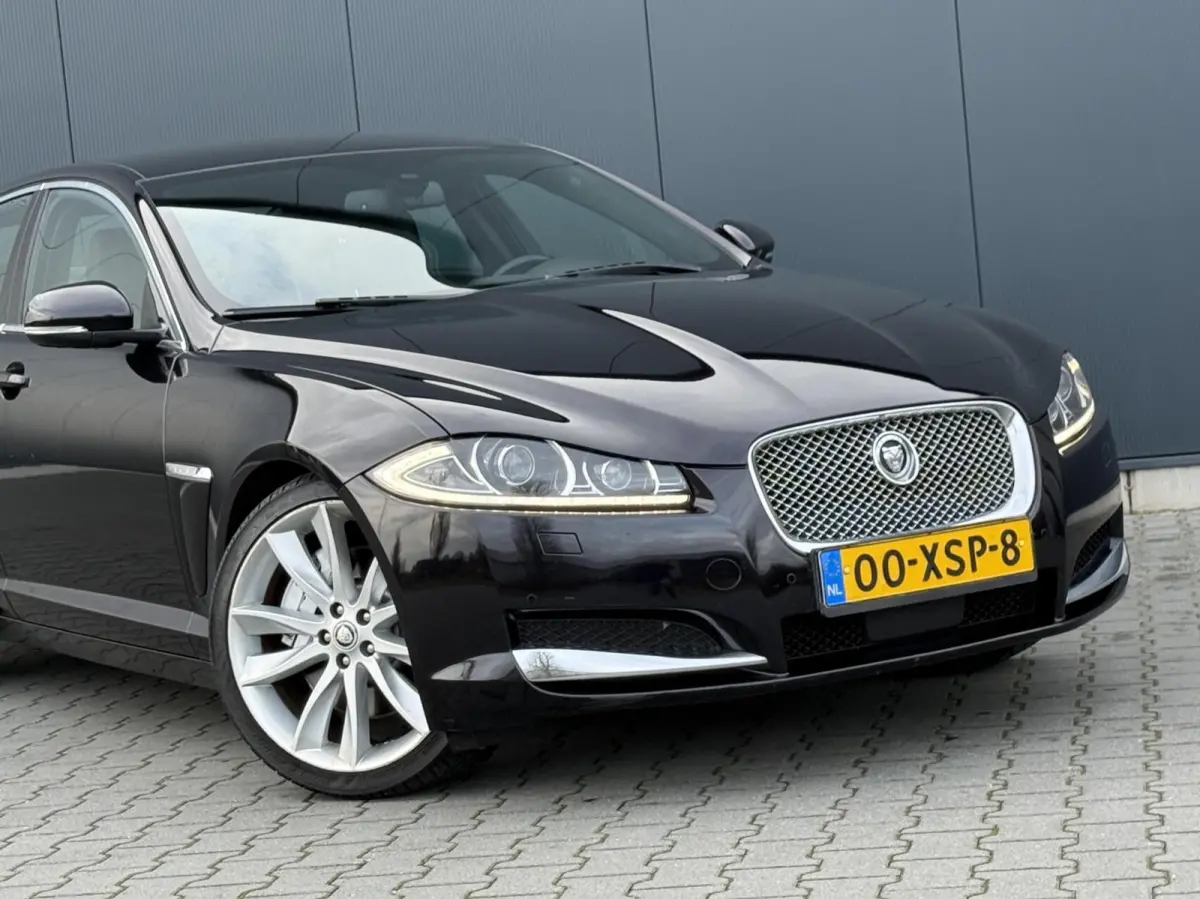 5.0 V8 385PK Portfolio Nieuw Model - Leder - Alcantara Hemel