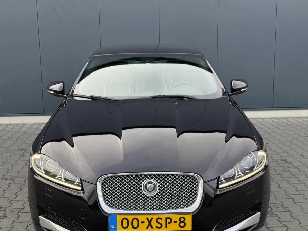 5.0 V8 385PK Portfolio Nieuw Model - Leder - Alcantara Hemel