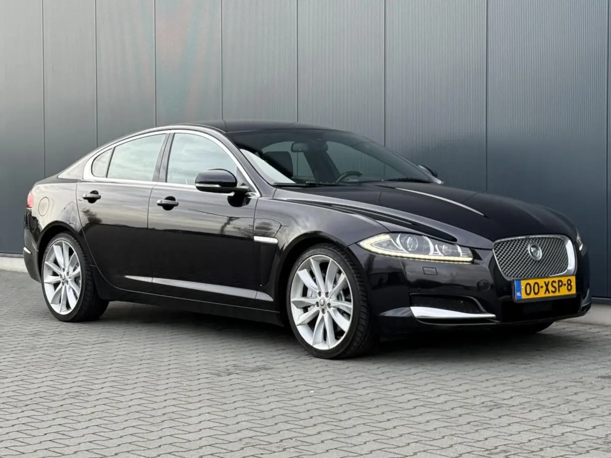 5.0 V8 385PK Portfolio Nieuw Model - Leder - Alcantara Hemel