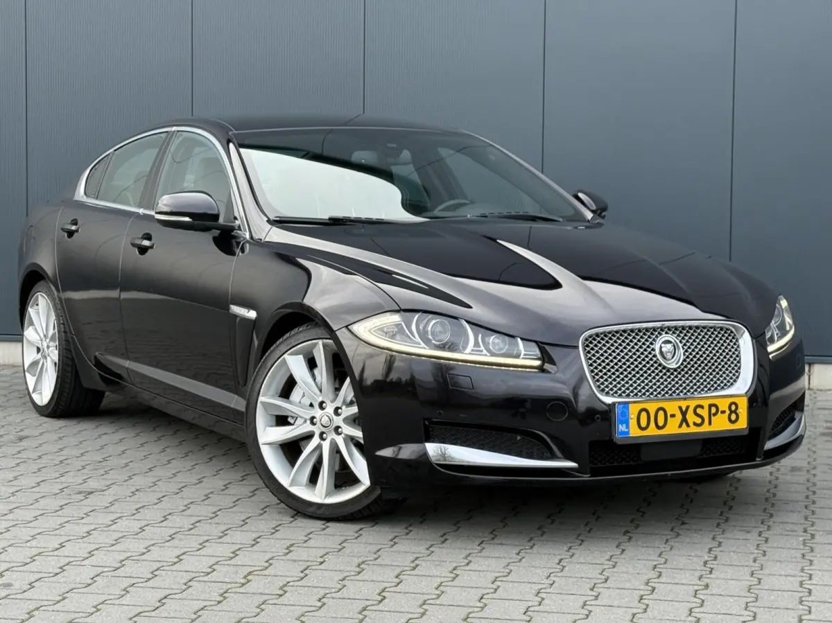 5.0 V8 385PK Portfolio Nieuw Model - Leder - Alcantara Hemel