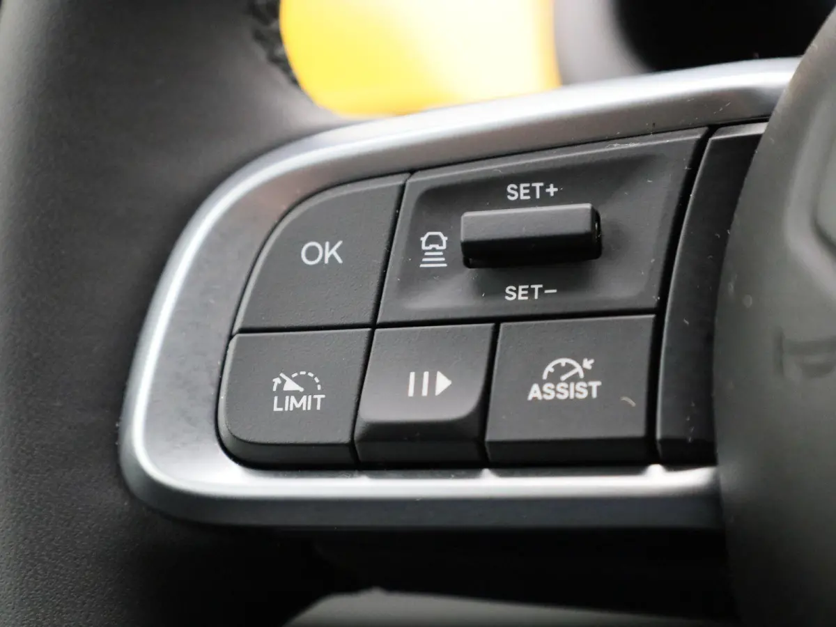 54kWh 1st Edition | ACHTERUITRIJCAMERA | NAVIGATIE | CLIMATE CONTROL | STOELVERWARMING | APPLE CARPLAY | ANDROID AUTO |