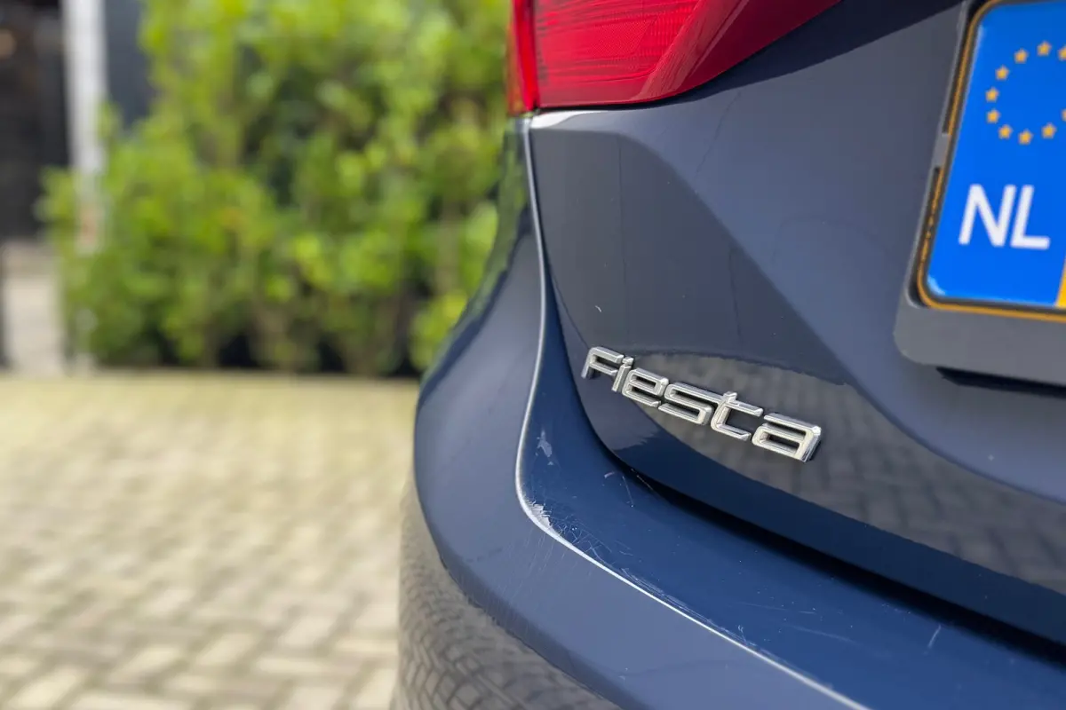 1.0 EcoBoost Titanium incl. 1 jaar Autotrust garantie