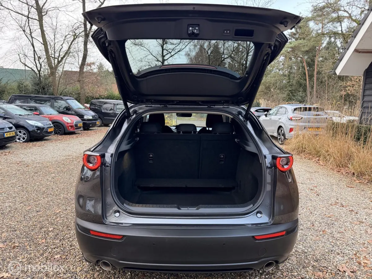 2.0 e-SkyActiv-X M Hybrid Homura