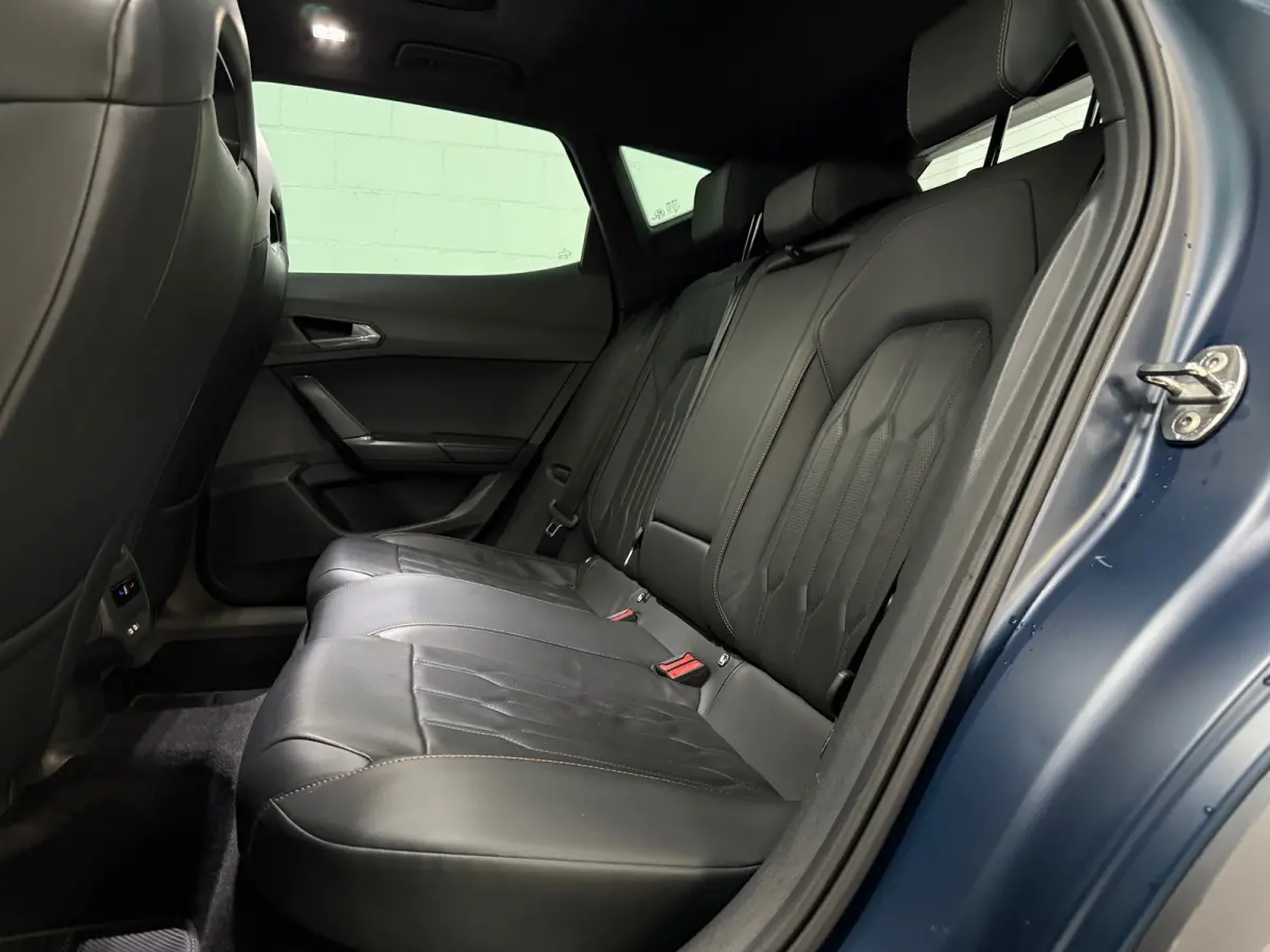 2.0 TSI VZ 310PK, Pano, Sfeer