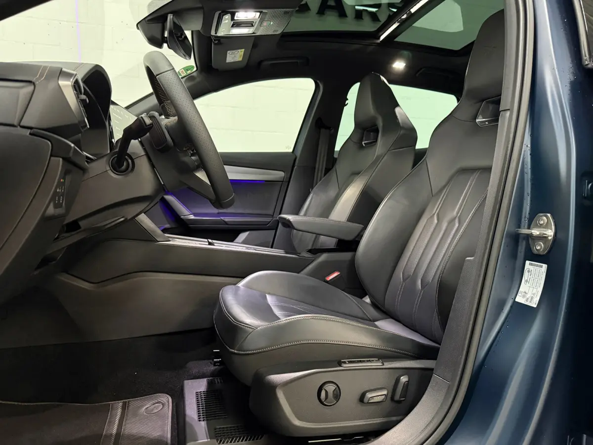 2.0 TSI VZ 310PK, Pano, Sfeer