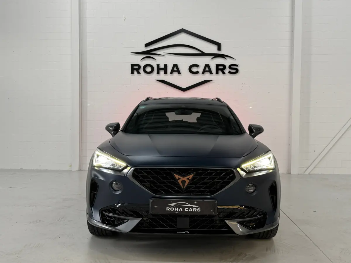 2.0 TSI VZ 310PK, Pano, Sfeer