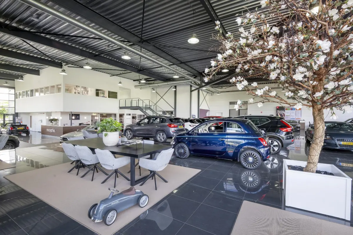 1.0 eTSI Life Business | Stoelverwarming | Massage | Carplay | Adaptive cruise | Sfeerverlichting | Navigatie | Park Assist | Getint glas | Full LED