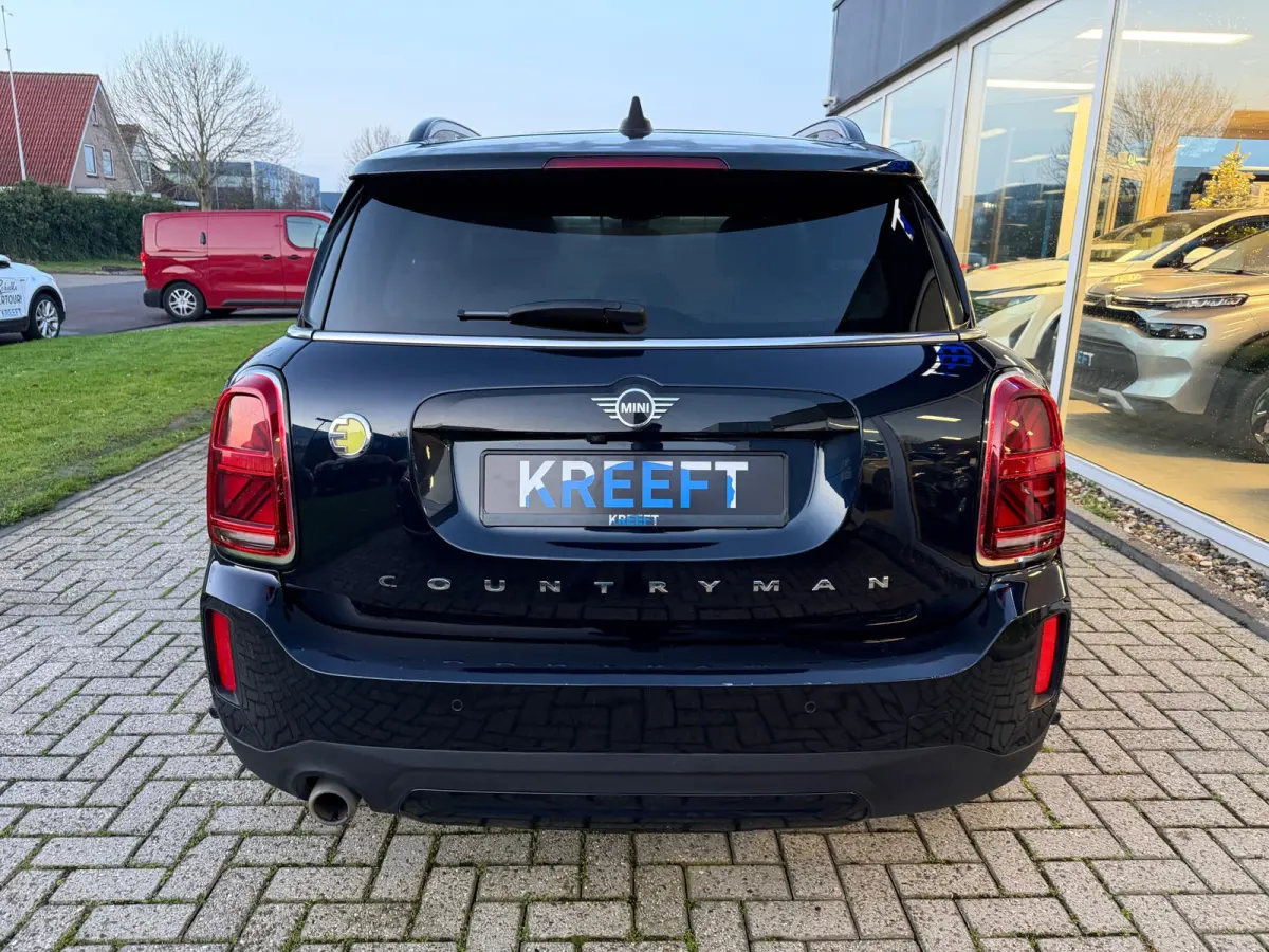 Mini 2.0 Cooper ALL4 Chili Leder | Hud | Panorama