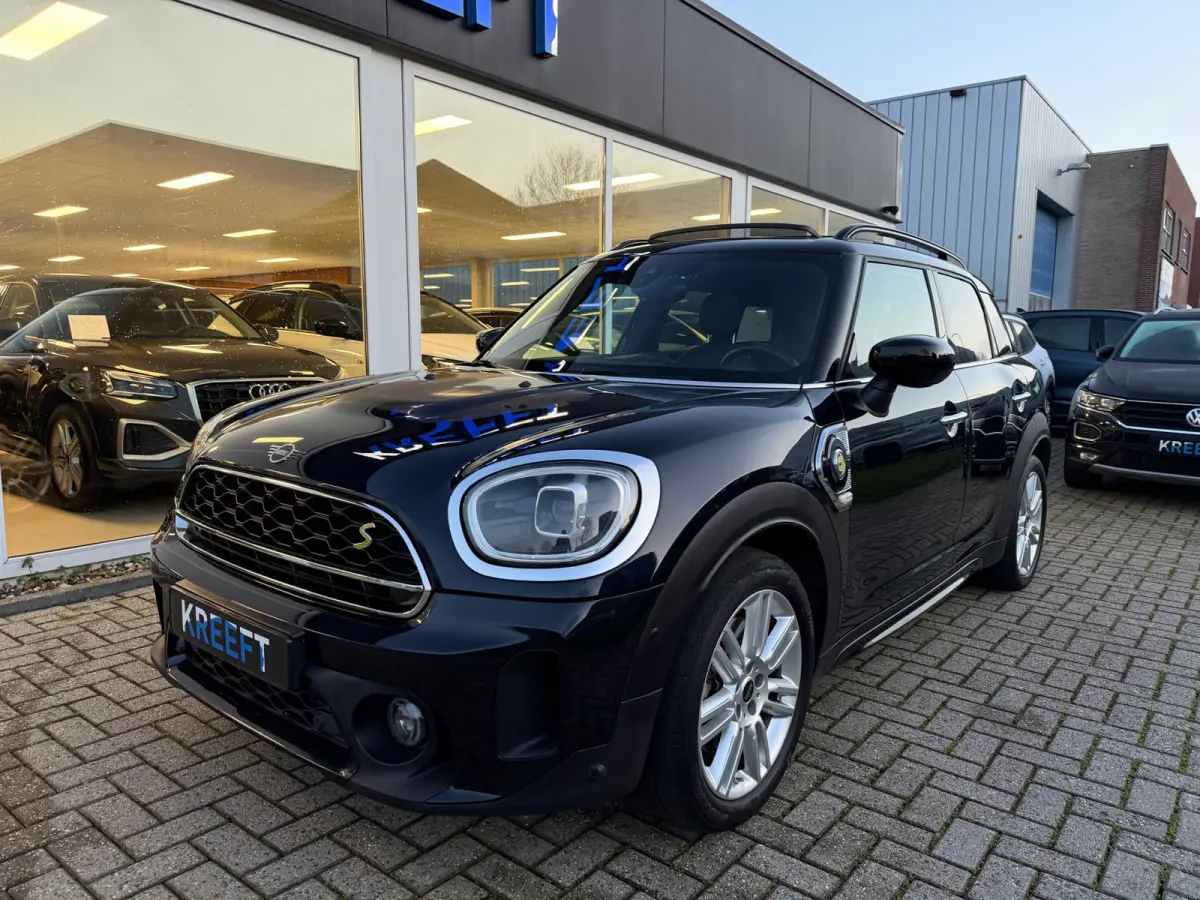 Mini 2.0 Cooper ALL4 Chili Leder | Hud | Panorama