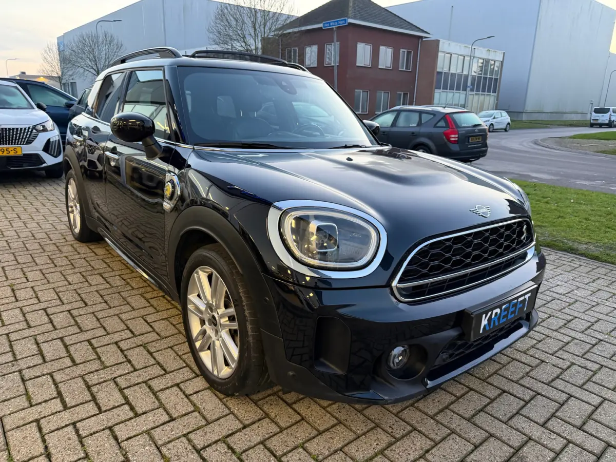 Mini 2.0 Cooper ALL4 Chili Leder | Hud | Panorama