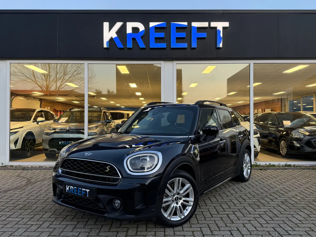 Mini 2.0 Cooper ALL4 Chili Leder | Hud | Panorama