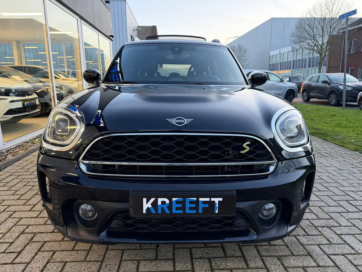 Mini 2.0 Cooper ALL4 Chili Leder | Hud | Panorama