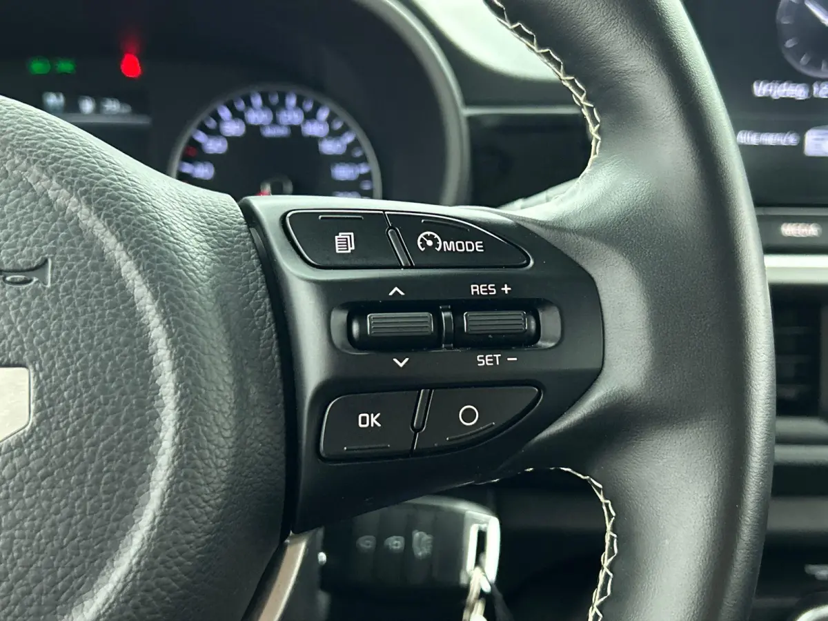 1.0 DPi DynamicLine Automaat Navigatie Apple Carplay/Android Auto Camera Airco DAB Lichtmetalen velgen Bluetooth