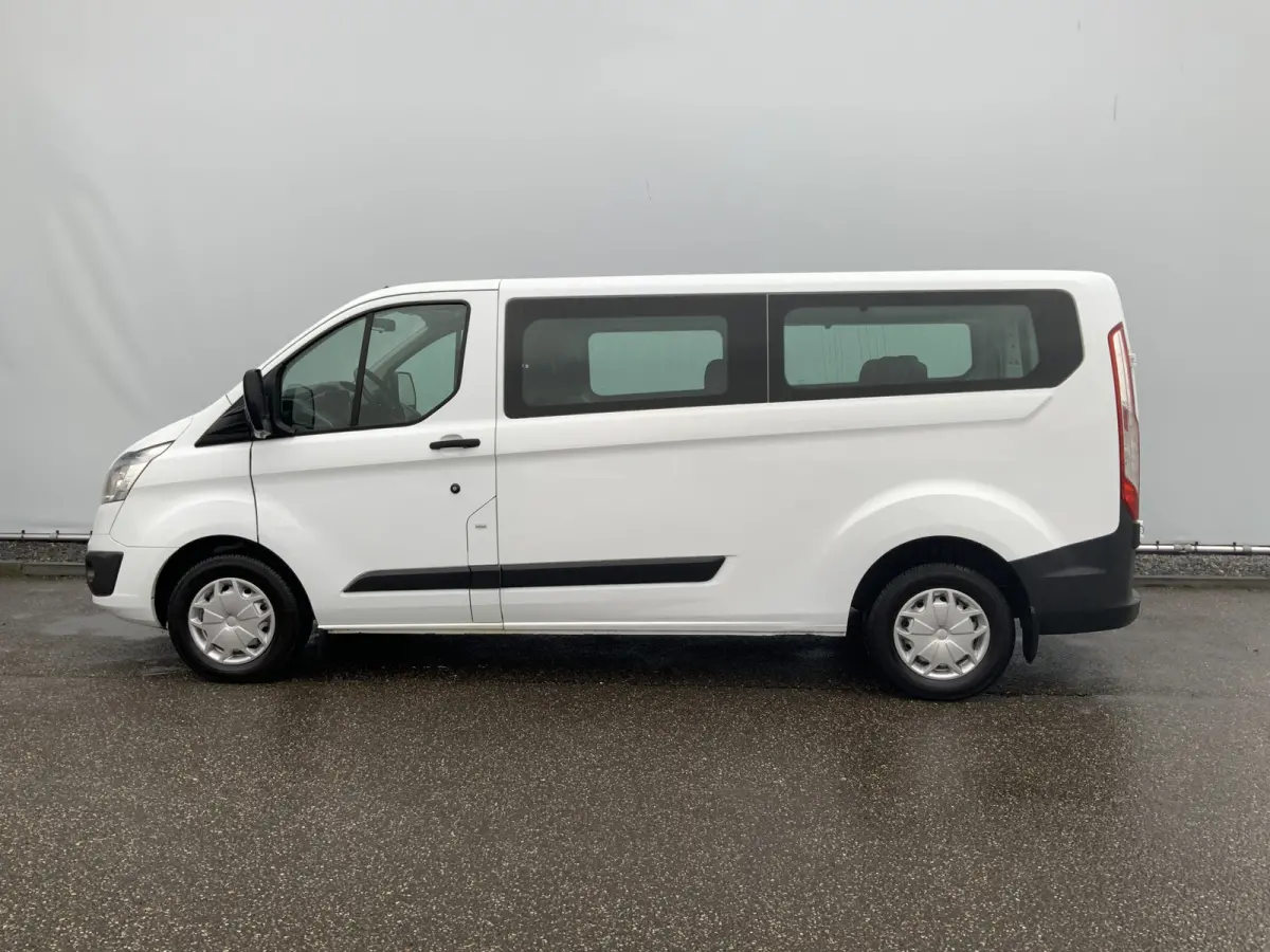 TURBOPROBLEEM 300 2.2 TDCI L2H1