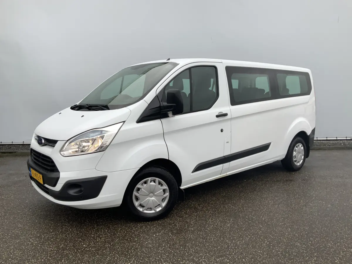 TURBOPROBLEEM 300 2.2 TDCI L2H1