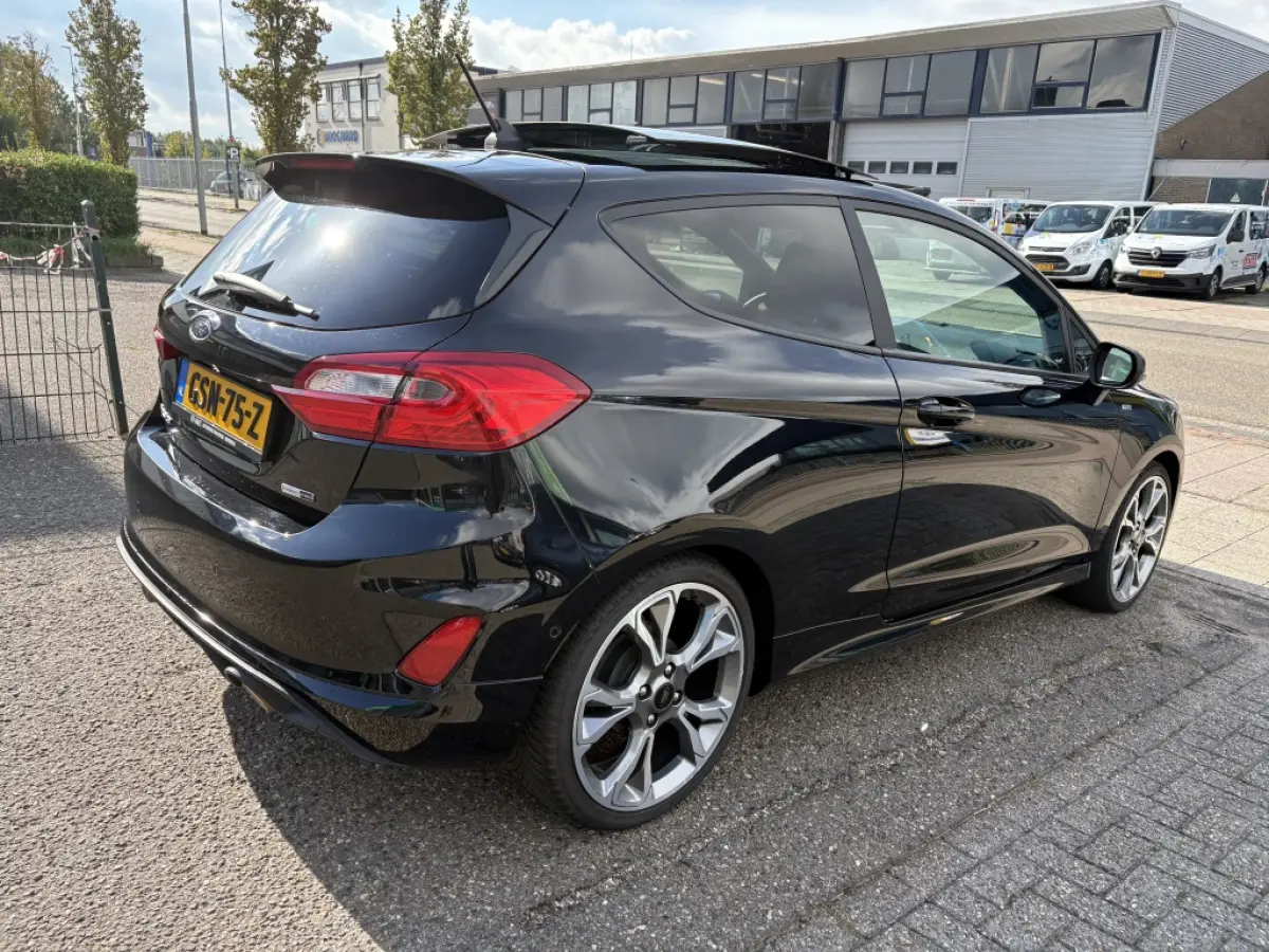 1.0 EcoBoost Hybrid ST-Line X panodak