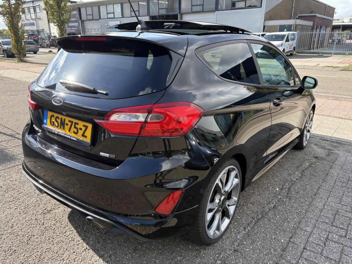 1.0 EcoBoost Hybrid ST-Line X panodak