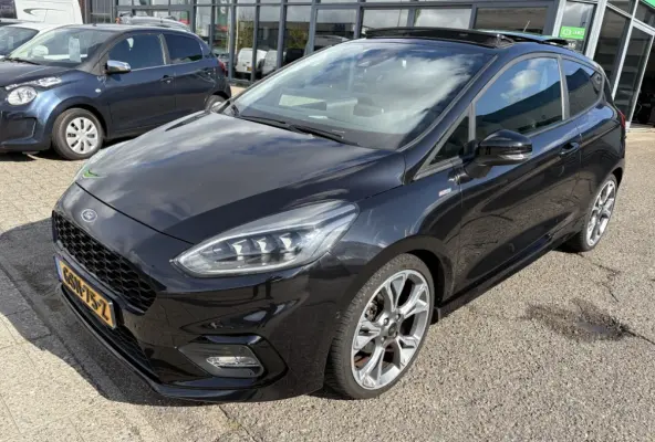 1.0 EcoBoost Hybrid ST-Line X panodak