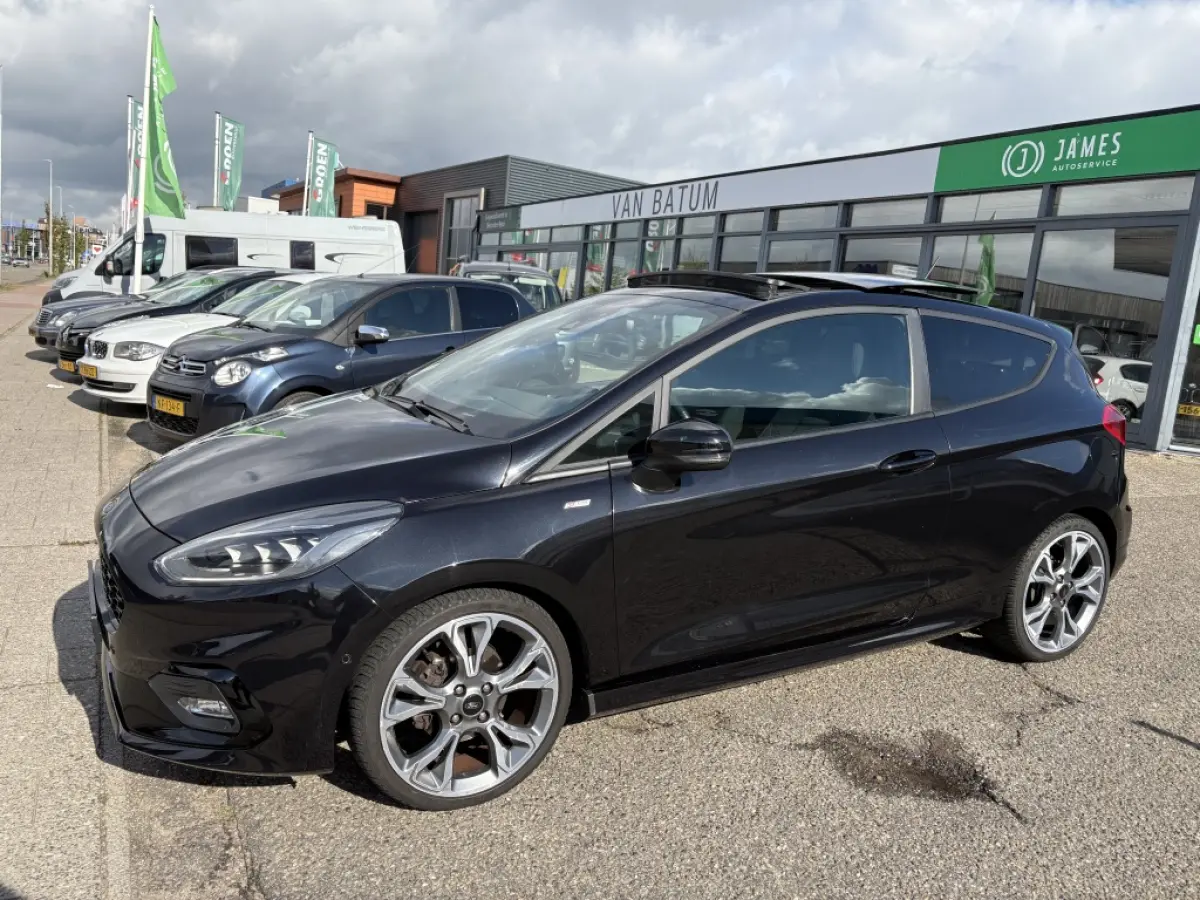 1.0 EcoBoost Hybrid ST-Line X panodak