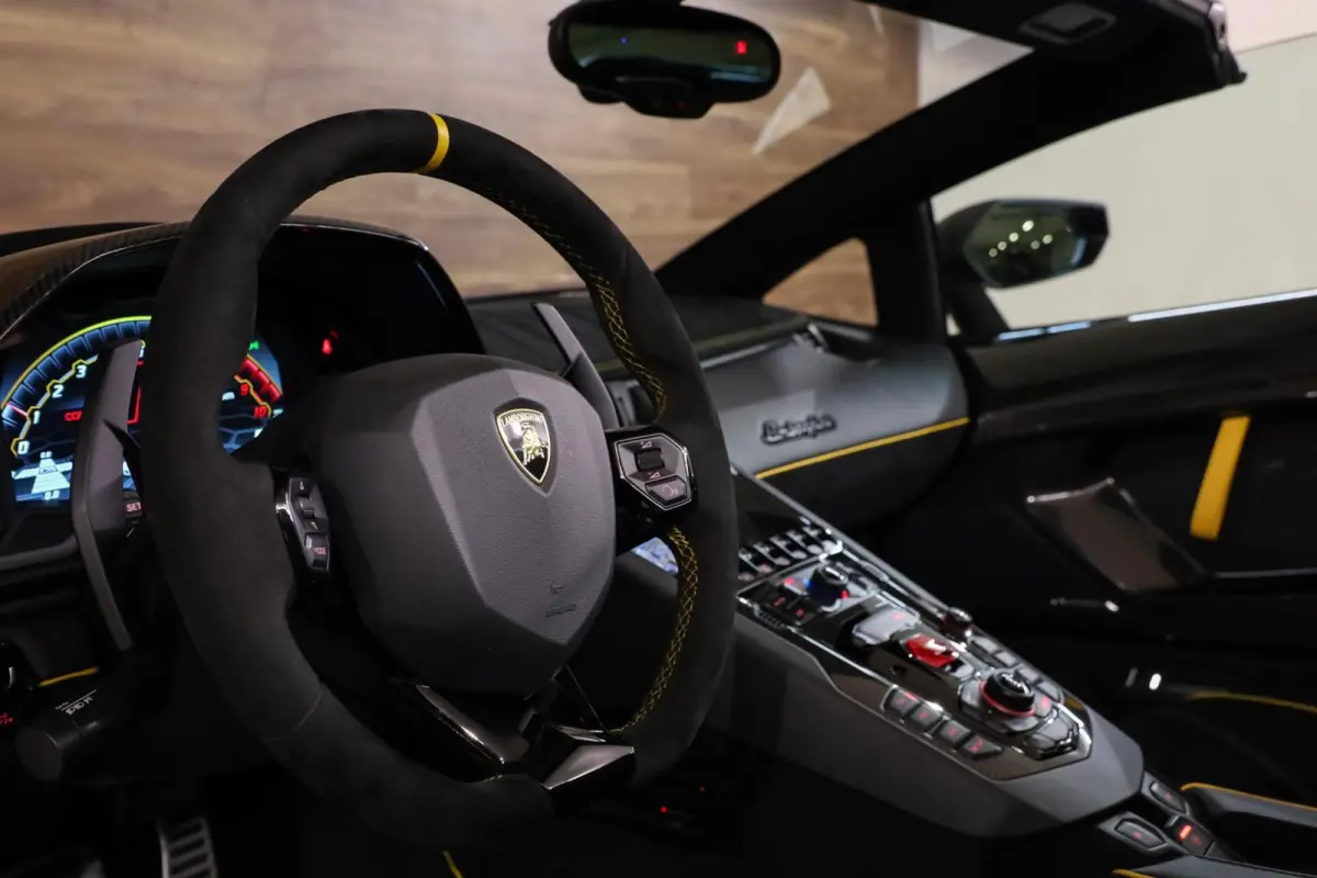 6.5 V12 SVJ Roadster|Full Novitec|XPEL|