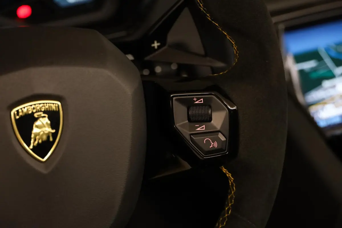 6.5 V12 SVJ Roadster|Full Novitec|XPEL|