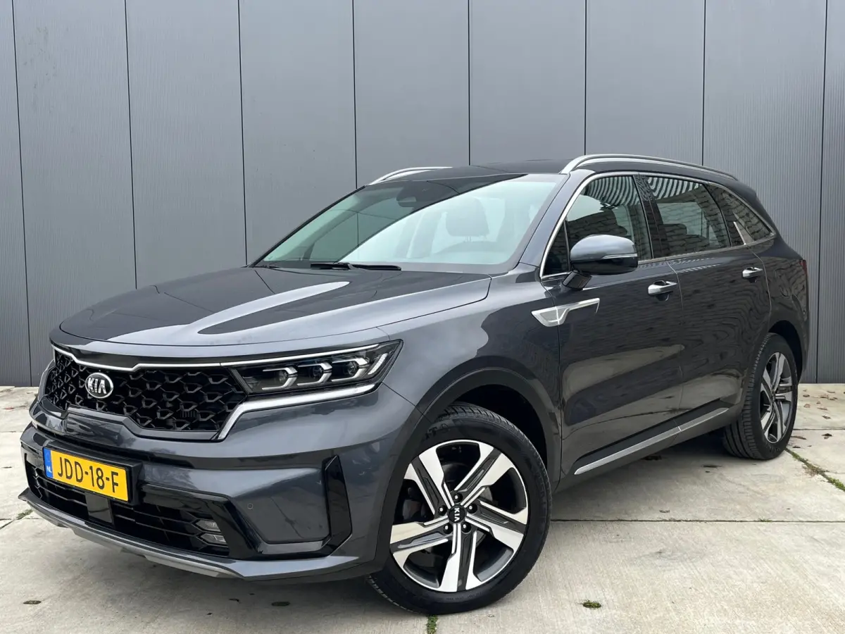 1.6 T-GDI Plug-in Hybrid 4WD DynamicLine 7p | Trekhaak |