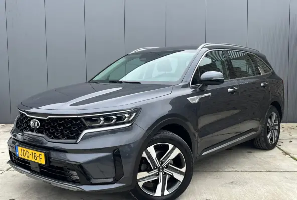 1.6 T-GDI Plug-in Hybrid 4WD DynamicLine 7p | Trekhaak |