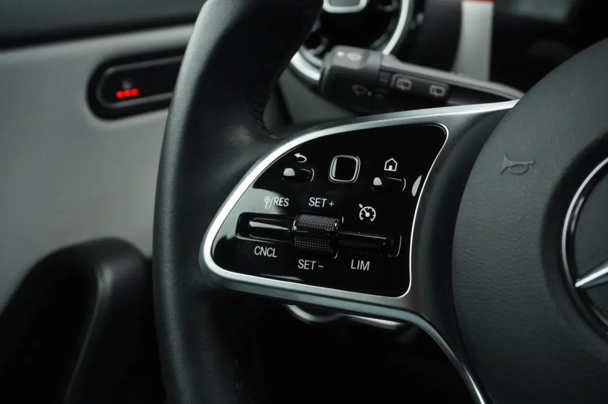 250 e Business Line PHEV / Camera / Navi / Stoelverwarm. / LED / SUPER PRIJS + APK 10-2028